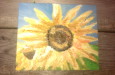 sunflowers, oil on board