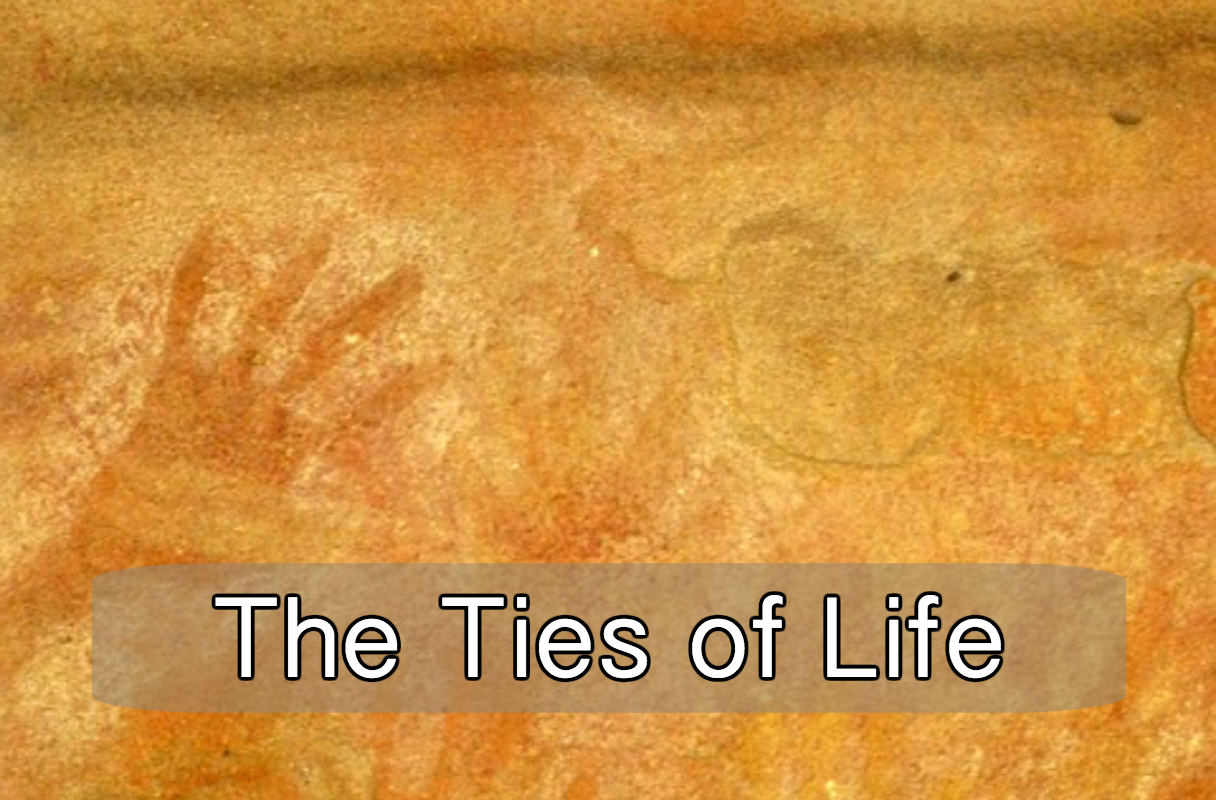 The Ties of Life
